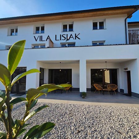 Vila Lisjak - Apartments Podcetrtek Ngoại thất bức ảnh