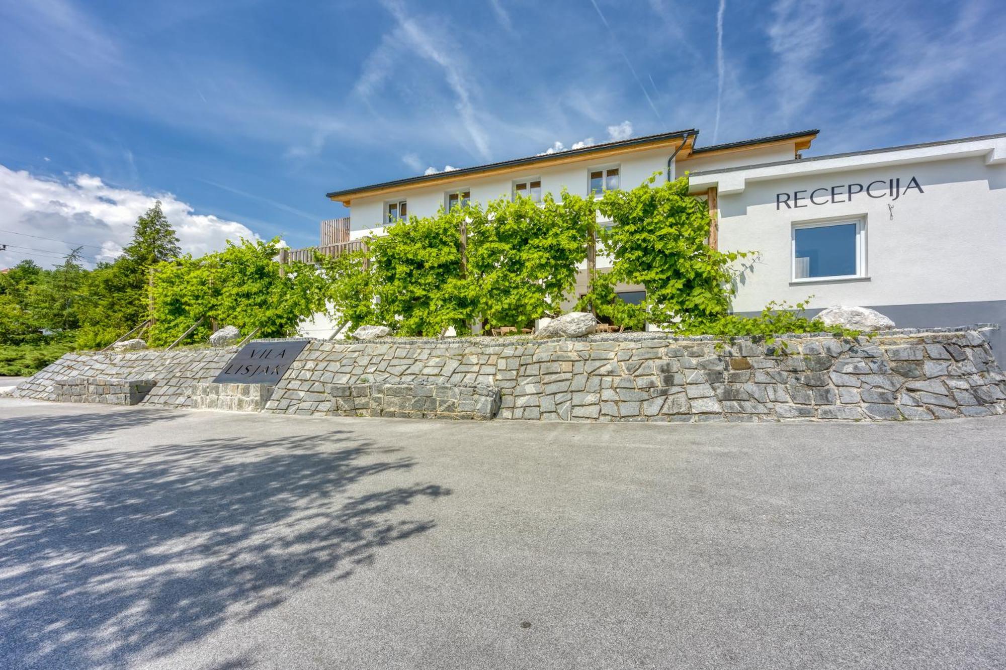 Vila Lisjak - Apartments Podcetrtek Ngoại thất bức ảnh